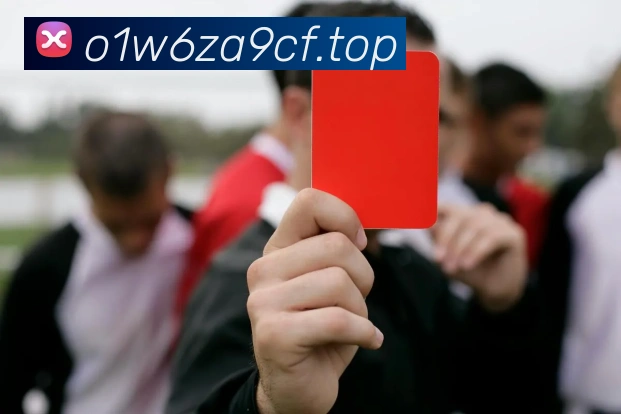 超凡国际平台生态图